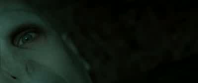 My Lord are you hurt My LordI don't need your help - Harry Potter and the Deathly Hallows: Part 2
