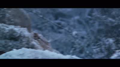 I do not tremble. - Enemy at the Gates