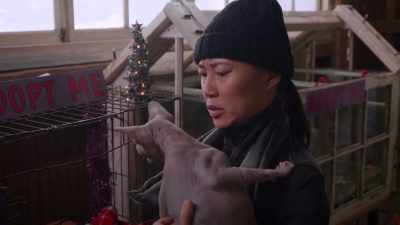 I do really hate getting fur
on my clothes and furniture. - The Dog Days of Christmas