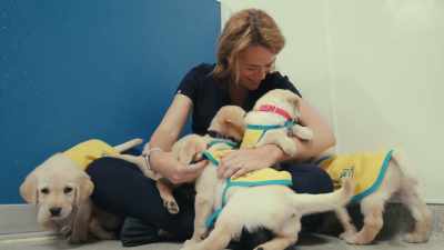I do think my dog loves me, - Inside the Mind of a Dog