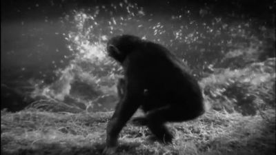 I do wish you wouldn't be so playful - Tarzan the Ape Man