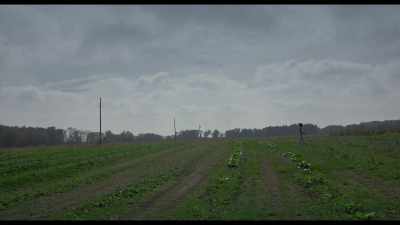 I don’t think I get depressed. - Burning Cane