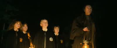 I don't appreciate the insinuation, Longbottom. - Harry Potter and the Philosopher's Stone