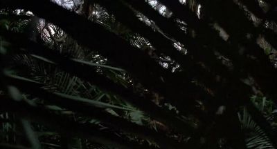 I don't believe he did - Predator