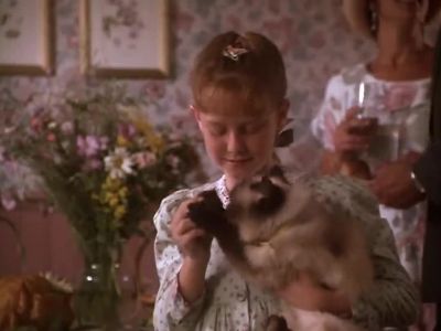 I don't believe it - Homeward Bound: The Incredible Journey