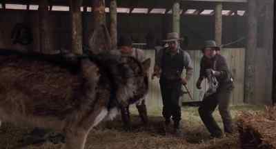 I don't believe it! - White Fang