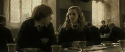 I don't believe it wasa particularly long conversation. - Harry Potter and the Half Blood Prince