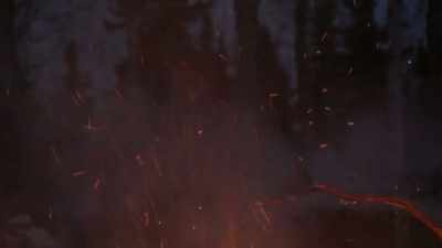 I don't care about
any of that stuff." - Life Below Zero: Next Generation