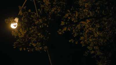 I don't care anymore, Denny,
one way or another, - Into the Fire: The Lost Daughter