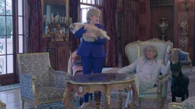 - I don't care! Cat Purry
will win this election! - Greatland