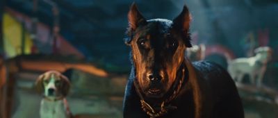 I don't care how freakishly large you are Donkey Boy - Marmaduke