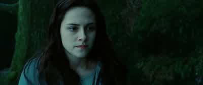 I don't care. - Twilight