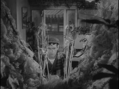 I don't care what you need - The Little Shop of Horrors