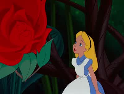 What kind of garden do you come fromOh I don't come from any gardenDo you suppose she's a wild flower - Alice in Wonderland