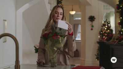 "I don't expect you
to forgive me, - My Sweet Austrian Holiday