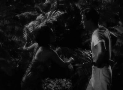 I don't get you Sister - Bird of Paradise