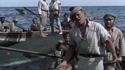 I don't give reasons - Moby Dick