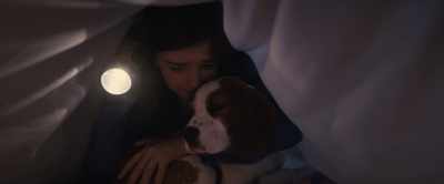 I don't have to be scared anymore.
I know you'll protect me. - A Dog's Journey