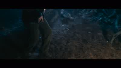 ...I don't know, about 48, 50 years old at the time... - Harry Potter and the Chamber of Secrets