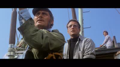 I don't know, Chief, if he's very smart or very dumb. - Jaws