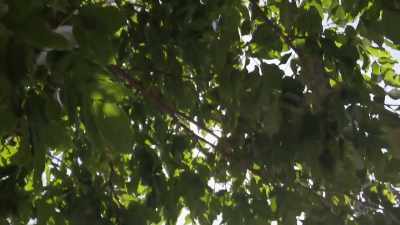 I don't know everything about relationships, - Naked and Afraid of Love
