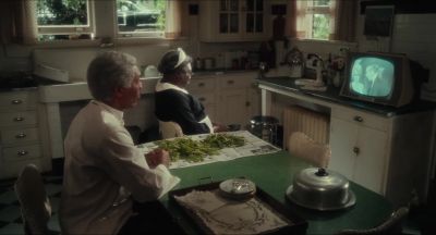 I don't know how you can look at that - Driving Miss Daisy