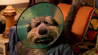 I don't know how I'm gonna do
more than I'm already doing. - Fraggle Rock: Back to the Rock