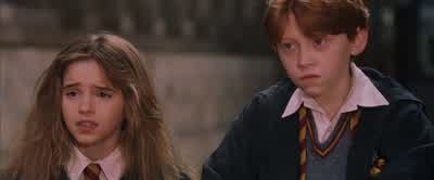 I don't know how you know,but I assure you it is well protected. - Harry Potter and the Sorcerer's Stone