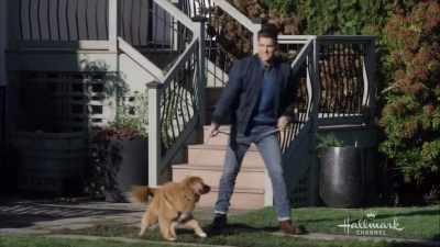 I don't know.
I don't know what's going on. - Walking the Dog