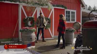 I don't know, it was just fun - Cranberry Christmas