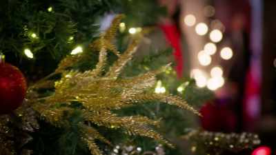 I don't know, you know.
First I killed the deal, - Meet Me Under the Mistletoe