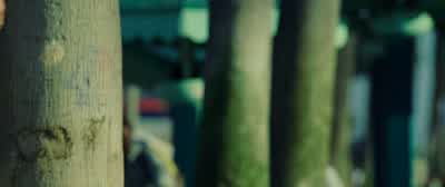I don't know. - Nightcrawler