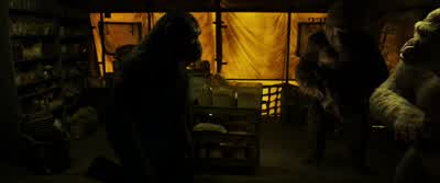 I don't know. - War for the Planet of the Apes
