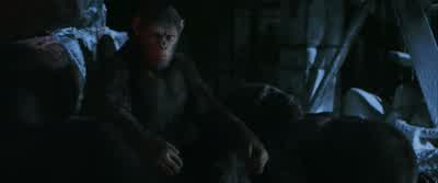 I don't know. - War for the Planet of the Apes