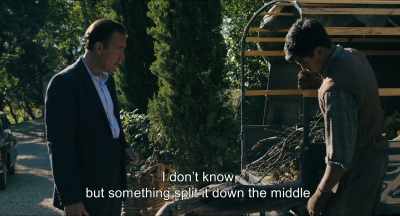 I don't know, but something
split it down the middle. - Monsieur Spade