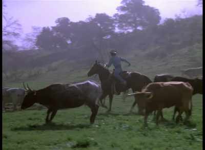 I don't know, something
was suddenly different, - Quantum Leap