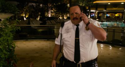 I don't know sunflowers That's a van Gogh you idiot - Paul Blart: Mall Cop 2