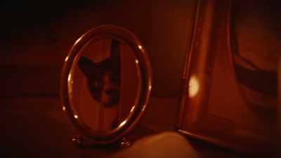 I don't know if the cats
had anything to do with it, - Haunted Hospitals