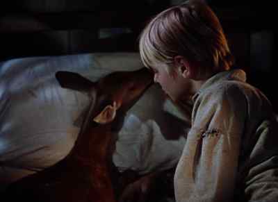I don't know what ails ma. - The Yearling