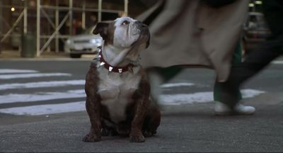 I don't know what that guy's problem was - Little Nicky