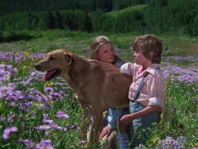 I don't know what I'd do,
if I had to leave this place. - Mountain Family Robinson