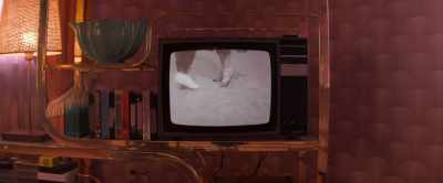 I don't know what you think
you're doing sitting there, - The Loneliest Boy in the World
