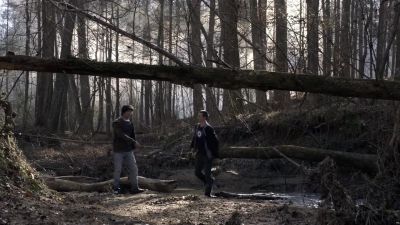 I don't know what it was. - Teen Wolf