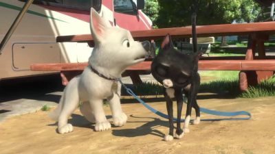 I don't know what's going on here - Bolt