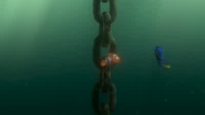 I don't know what's going on. - Finding Nemo