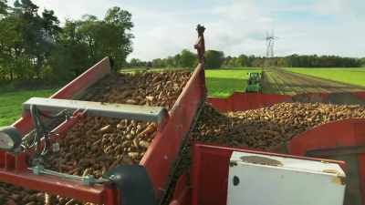 ♪ I don't know
where all my carrots go ♪ - Tractor Ted