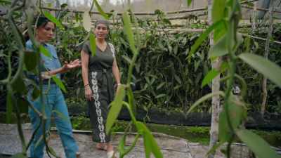 - I don't know why I thought
it was like a bush or a plant, - Eva Longoria: Searching for Mexico