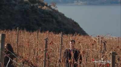 I don't know why the results
from the compatibility seminar - Valentine in the Vineyard