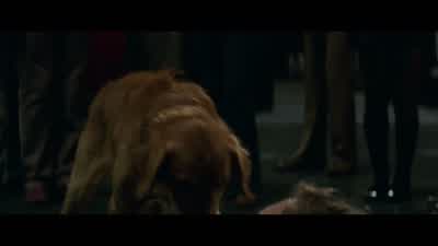 I don't like that smell. - A Dog's Purpose