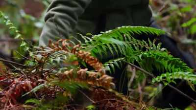 I don't really know
if that's the way, - Chefs vs Wild